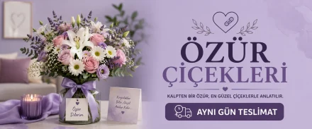 Özür Çiçekleri